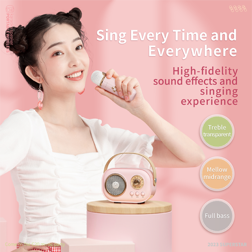 Mini Karaoke Machine Portable Bluetooth Speaker with Wireless Microphone 6 Sound Modes for Kids Home Party Birthday Gifts for Girls Boys