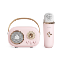 Mini Karaoke Machine Portable Bluetooth Speaker with Wireless Microphone 6 Sound Modes for Kids Home Party Birthday Gifts for Girls Boys