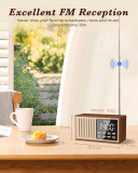 PRUNUS 【2023 Newest】 J-177 Vintage Retro Bluetooth Speaker Alarm Clock with Adjustable Dimmer and Volume, Portable FM Radio with Bluetooth 5.3 Wireless Connection, TF Card & MP3 Player, for Gift