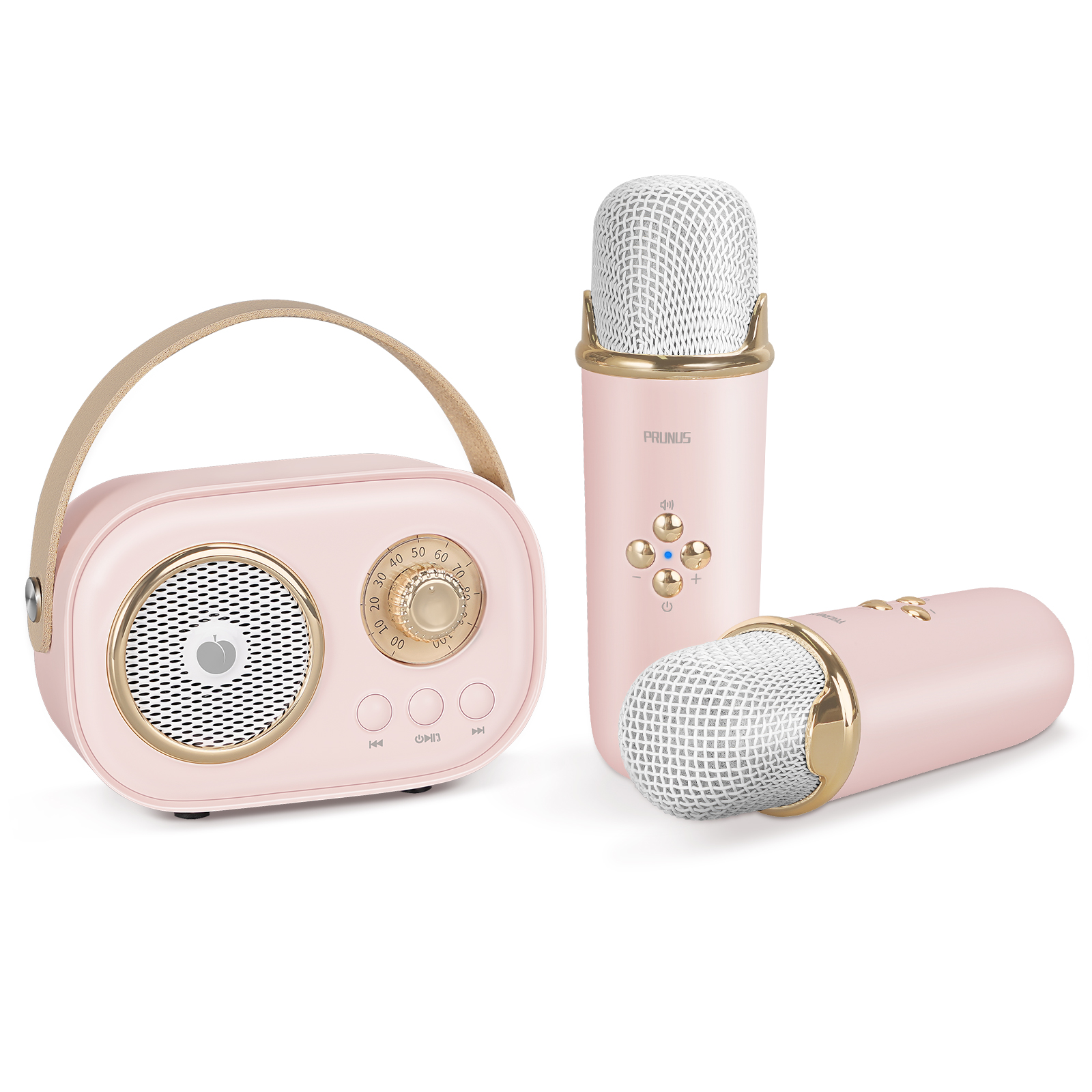 PRUNUS Mini Karaoke Machine with 2 Wireless Mics for Kids Portable