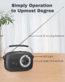 PRUNUS AM FM Radio Portable, AA Battery Operated Radio and USB-C Powered, Clear and Loud Speaker, Earphone Jack, Transistor Radio with Best Reception, Luminous dial, Big knob, Small Radio J-112