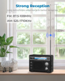 PRUNUS J-136 Portable Radio AM FM, Transistor Radio Battery Operated and Plug in Wall,Loud Speaker Support AUX in and Micphone in, Small Radios Portable AM FM
