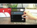 PRUNUS J-136 Portable Radio AM FM, Transistor Radio Battery Operated and Plug in Wall,Loud Speaker Support AUX in and Micphone in, Small Radios Portable AM FM