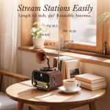 PRUNUS J-190 Portable Radio AM FM SW Bluetooth, Retro Radios Vintage Small Transistor Radio with Best Sound,USB Rechargeable, Support TF Card/USB Playing,Rotary Knob Great, Gifts for Seniors