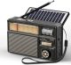 PRUNUS J-139 AM FM Radio Portable Bluetooth, TF Card/USB Playback, USB-C/Solar Battery Operated Radio, Lanyard, Transistor Radios, Small Radios