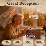 PRUNUS J-196 Vintage Flame LED Radio, Retro Bluetooth Speaker, FM/AM/SW1/SW2, TF/USB Playback, USB C Charging, Portable Handle, Excellent Sound and Loud MAX Volume, Vintage Radio, Retro Radios