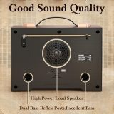 PRUNUS J-196 Vintage Flame LED Radio, Retro Bluetooth Speaker, FM/AM/SW1/SW2, TF/USB Playback, USB C Charging, Portable Handle, Excellent Sound and Loud MAX Volume, Vintage Radio, Retro Radios