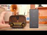 PRUNUS J-190 Portable Radio AM FM SW Bluetooth, Retro Radios Vintage Small Transistor Radio with Best Sound,USB Rechargeable, Support TF Card/USB Playing,Rotary Knob Great, Gifts for Seniors