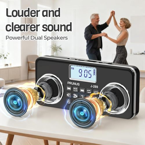 PRUNUS J-289 Small Digital FM Radio with Bluetooth Speaker, Good Sound, TF Card/USB Playback, Mp3 Player with Speaker, Headphone Jack, USB C Rechargeable Radio fm, Indoor and Outdoor, Bluetooth Radios(NO AM)