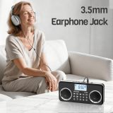 PRUNUS J-289 Small Digital FM Radio with Bluetooth Speaker, Good Sound, TF Card/USB Playback, Mp3 Player with Speaker, Headphone Jack, USB C Rechargeable Radio fm, Indoor and Outdoor, Bluetooth Radios(NO AM)