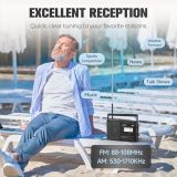 PRUNUS J-06 Analog AM FM Radio Portable with PVC Chip, Battery Operated and AC Plug, Large Speaker Excellent Sound, Excellent Reception, Gifts for Seniors, Battery Operated Radio
