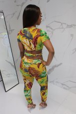 SC Floral Print Crop Tops And Long Pant Two Piece Set MOF-5087