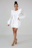 SC Long Sleeve Ruffles Bodycon Lace Dress LX-3081