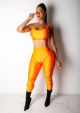 Casual Skinny Fitness Sports Two Piece Pants Set WY-6585
