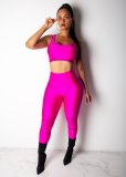 Casual Skinny Fitness Sports Two Piece Pants Set WY-6585