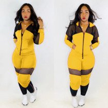 SC Casual Mesh Patchwork Hooded Tracksuit 2 Piece Set TR-963