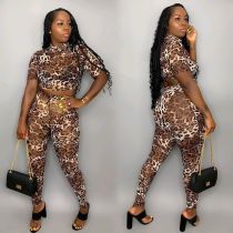 SC Leopard Print Short Sleeves Two Piece Outfits RSN-716