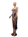 SC Colorful Strip High Waist Slim Long Skirt CHY-1055