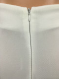 SC Elegant High Waist Back Zipper Long Pants YS-8180