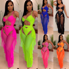 Sexy Mesh See Through Swimsuit 2 Piece Set SFY-018