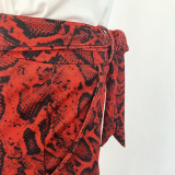 SC Fashion Snake Pattern Pants Short Sleeve Suit SHD-9154