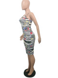 SC Sexy Stripe Floral Print Spaghetti Strap Dress SHA-6007