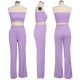 SC Solid Tube Tops Long Pants Sexy Two Piece Suits SMR-9613