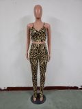 SC Leopard Print Sexy Two Piece Pants Set JH-169