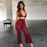 SC Fashion Knitted Mesh Cutout Perspective Long Pants Suit ZSD-046