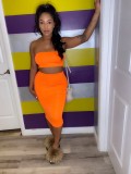 SC Solid Tube Tops And Midi Skirt Two Piece Sets TR-1050