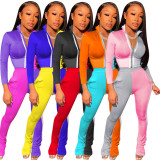 SC Plus Size Casual Patchwork Tracksuits 2 Piece Sets MYP-8934