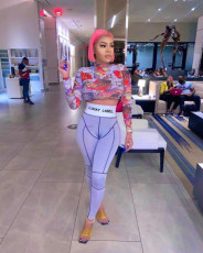 SC Sexy Printed Crop Tops And Pants 2 Piece Sets TK-6136