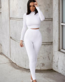 Casual Solid Long Sleeve Two Piece Jogging Sets AIL-141