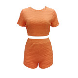 SC Summer Fashion New Casual Jacquard Short Sleeve Shorts Sports 2 Piece Set TR-1102