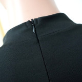SC Plus Size Mesh Perspective Splice Sleeve Solid Color Slim Midi Dress NNWF-7020