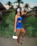 SC Sexy Velvet Tube Top And Shorts Two Piece Suits LSL-6414