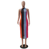 SC Sheer Mesh Striped Print Sleeveless Maxi Dress TR-1120