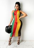 SC Sheer Mesh Striped Print Sleeveless Maxi Dress TR-1120