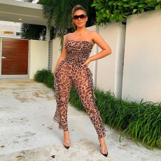 SC Sexy Leopard See Through Tube Jumpsuit ZSD-095