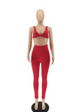 SC Sexy Solid Color Backless Top And Pants Two Piece Set SMF-8075