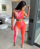 SC Sexy Mesh Sleeveless Two Piece Pant Sets YD-8386