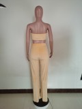 SC Fashion Solid Color Tube Top And Pants Two Piece Sets AWF-5871