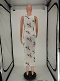 SC Casual Printed Sleeveless Long Dress NLAF-6046