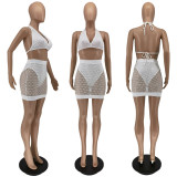 SC Sexy Halter Crop Top+Hollow Mini Skirt 2 Piece Sets WSM-5257