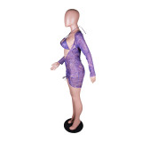 SC Sexy Mesh Printed Long Sleeve Club Dress With Bra BS-1274