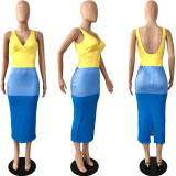 SC Contrast Color V Neck Sleeveless Backless Long Dress YNSF-16803