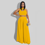 SC Solid Sleeveless Crop Top Wide Leg Pants 2 Piece Sets SFY-2123