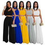 SC Solid Sleeveless Crop Top Wide Leg Pants 2 Piece Sets SFY-2123