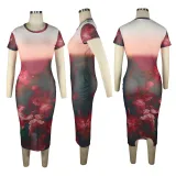 SC Sexy Printed Mesh See Through Long Club Dress TE-4308