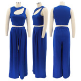 SC Solid Sleeveless Crop Top Wide Leg Pants 2 Piece Sets SFY-2123